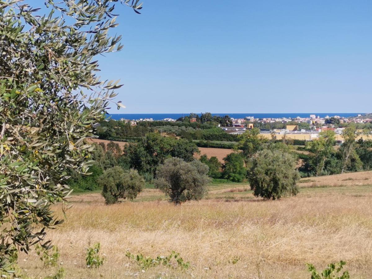 Residence Il Villaggio Del Re Corropoli Buitenkant foto