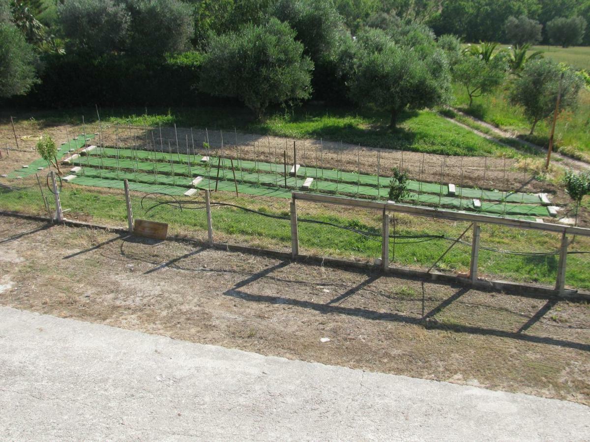 Residence Il Villaggio Del Re Corropoli Buitenkant foto